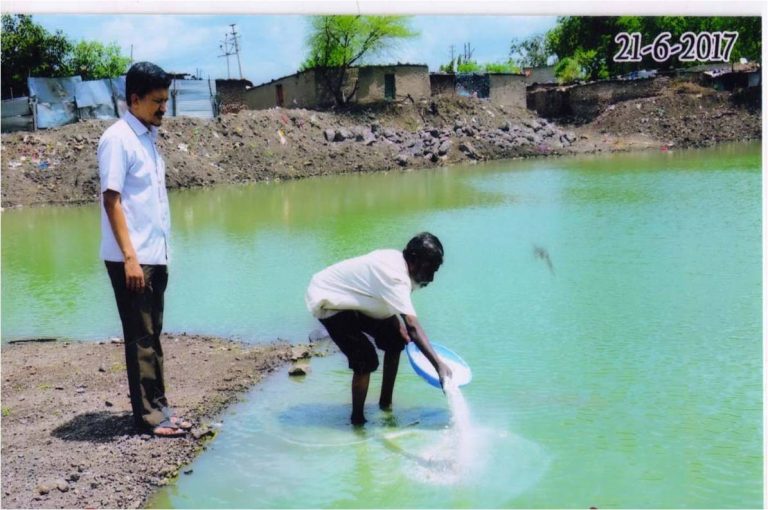 Stagnant Water Tank Rehabilitated, Aquatic Life Preserved
