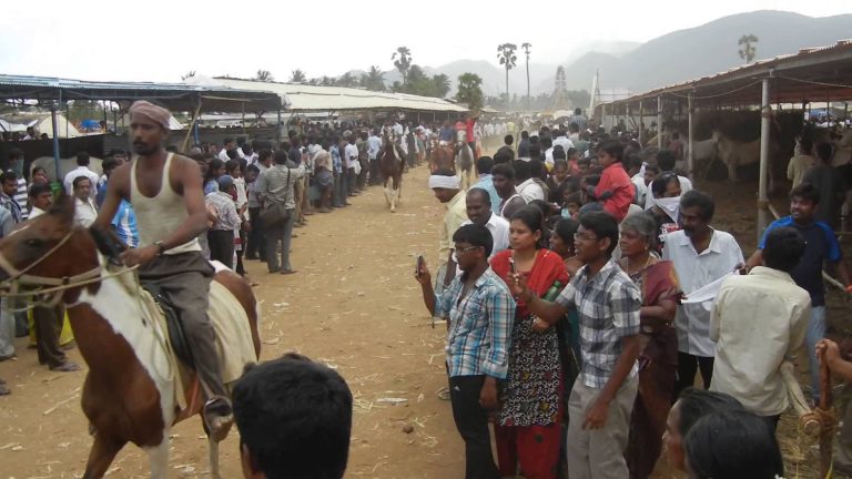Arulmigu Gurunathaswamy : A unique Temple festival