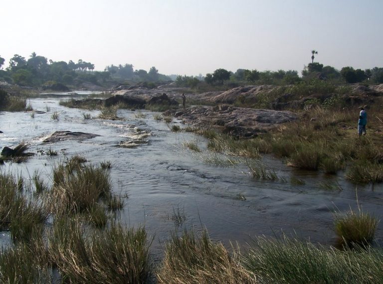 #KnowYourRivers : Sankaraparani River