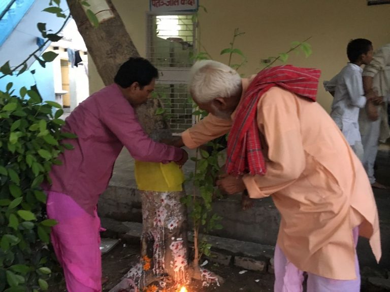 नवरात्र को प्रकृति से जोड़ता आनंदधाम आश्रम
