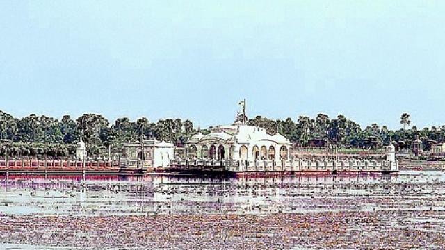 Post Image