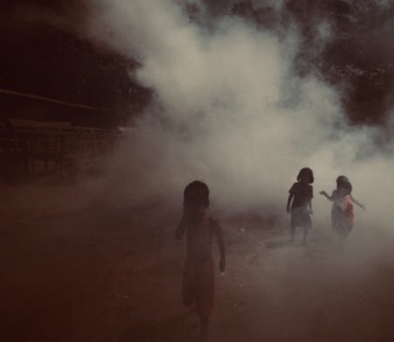 Air Pollution Due to Fireworks During Diwali : Swami Dipankar