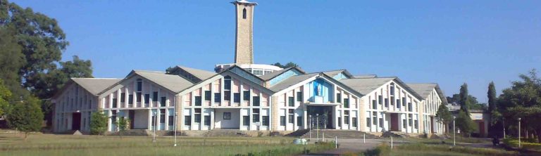 “50 Stars of Christmas” : Cathedral of Our Lady of the Rosary, Kunkuri – India’s largest Church