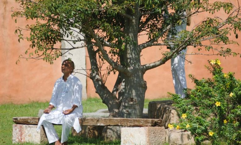 How Meditation Can Save the Earth ?