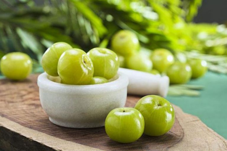 कोरोना से जंग: इम्युनिटी को बढ़ाने के लिए कीजिए आंवले का सेवन