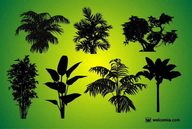 घर में सकारात्मक ऊर्जा देने वाले पौधे  