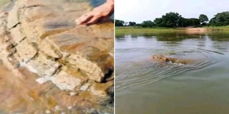 ओडिशा: नदी में दिखाई दिया 500 साल पुराना भगवान विष्णु का मंदिर