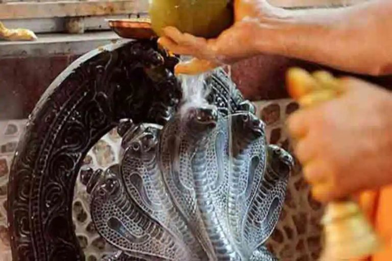 नागपंचमी के दिन इन आठ नाग देवताओं की होती है पूजा