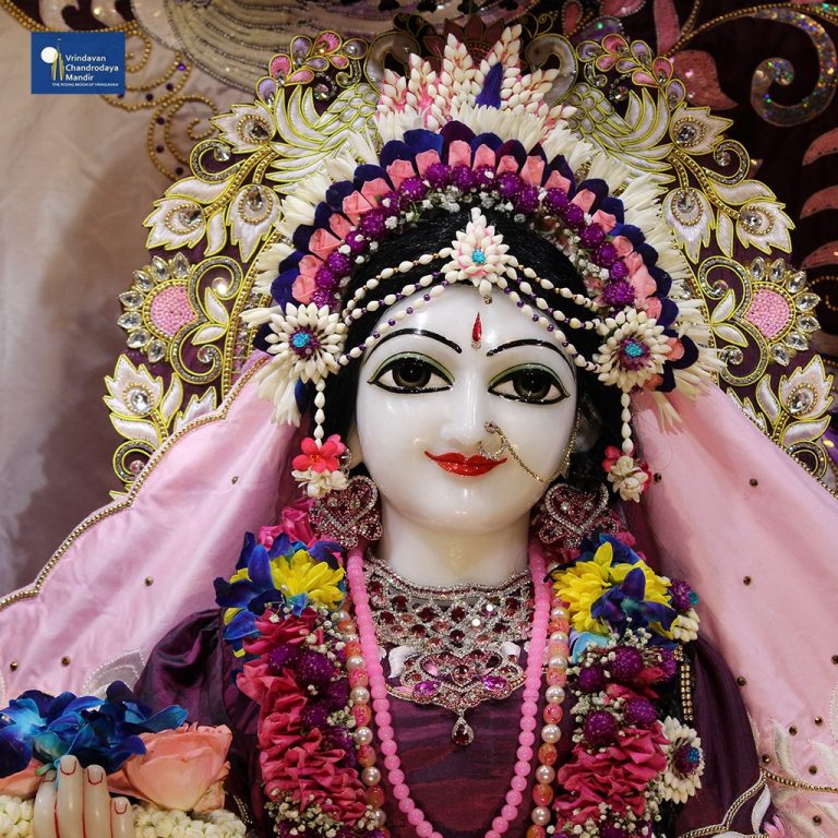 चंद्रोदय मंदिर में मनाया गया राधाष्टमी महोत्सव