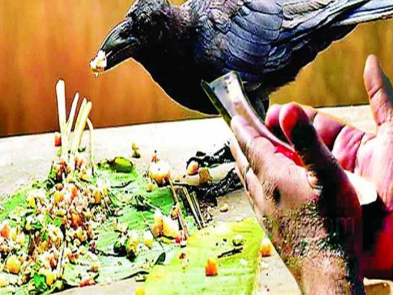 पितृ पक्ष 2020 : जानिए श्राद्ध का महत्व, कब से कबतक हैं पितृ पक्ष
