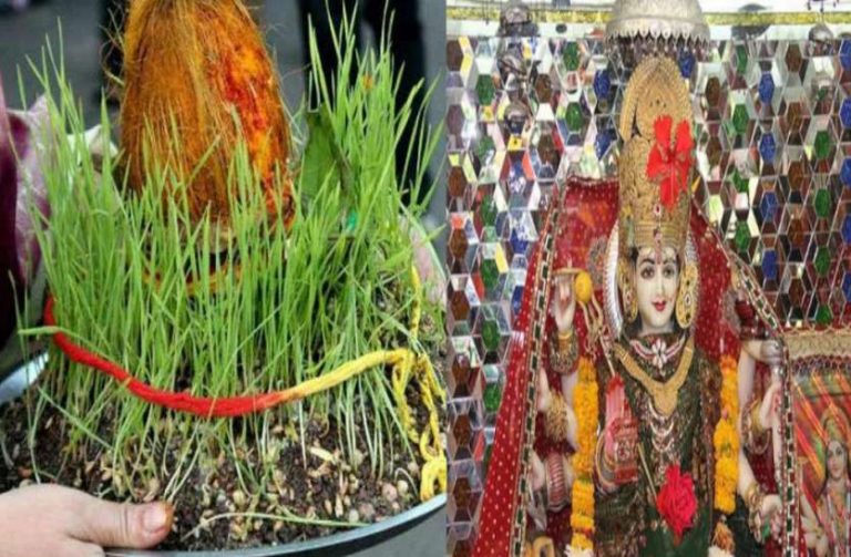 Shardiya Navratri 2020:जानिए नवरात्रि में बोये जाने वाले जवारों का महत्व
